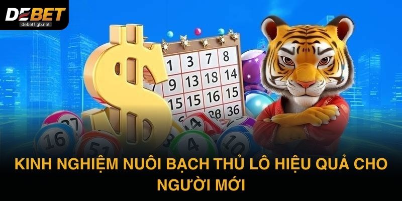 Kinh nghiệm nuôi bạch thủ lô hiệu quả cho người mới