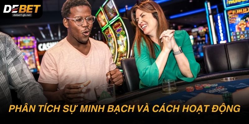 Phân tích dưới lát cắt minh bạch và cách vận hành